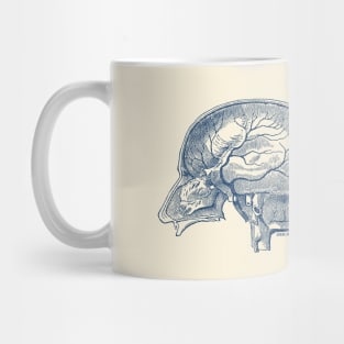 Brain Diagram Two - Anatomy Mug